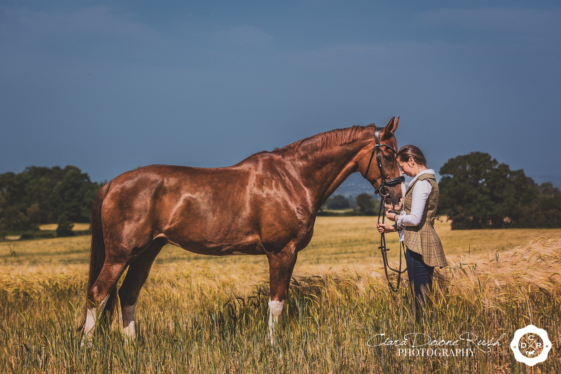 woman and her horse on a photo shoot